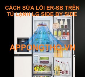 Không thể chấp nhận nổi lỗi ER-SB trên tủ lạnh LG!